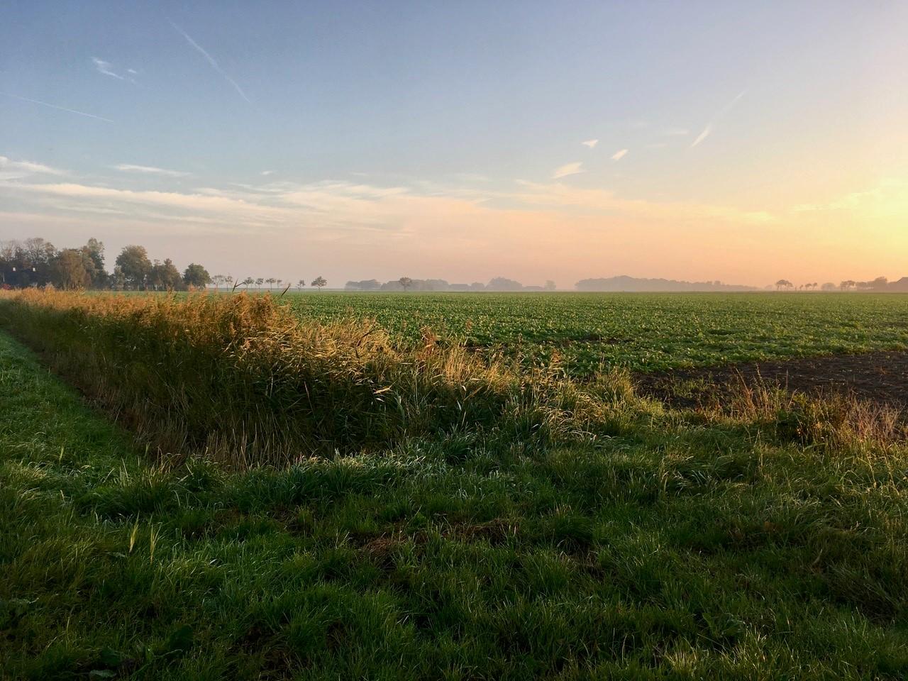 Schrijfweek Kloosterburen - omgeving