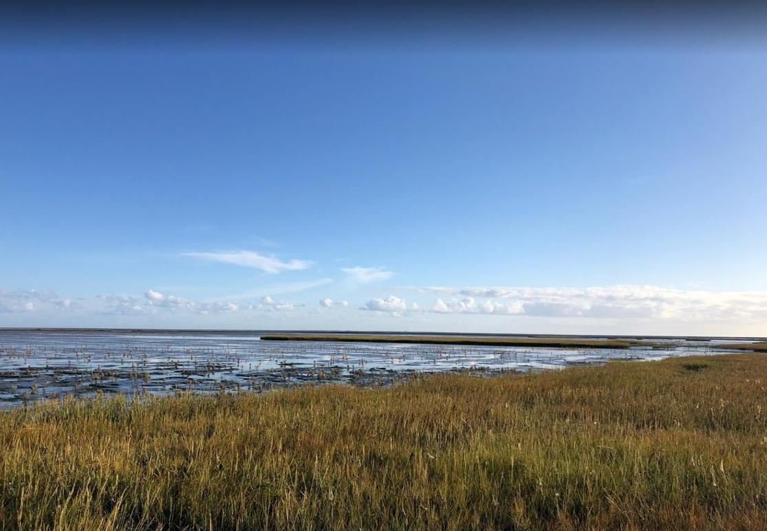 Schrijfweek Kloosterburen - omgeving