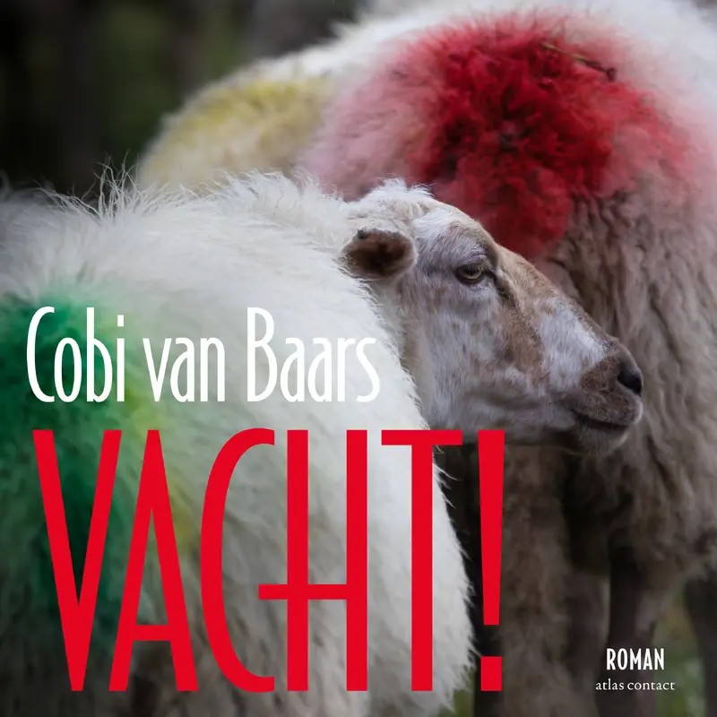 Nieuwe roman Cobi van Baars, Vacht